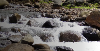 Modelación de la calidad del agua en ríos
