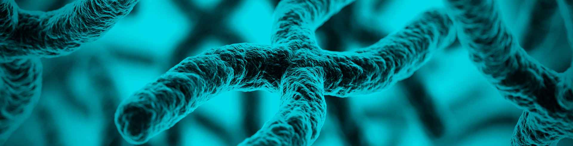 Curso Medicina Genómica – aplicaciones en genética clínica
