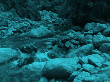 Modelación de la calidad del agua en ríos: sustancias tóxicas