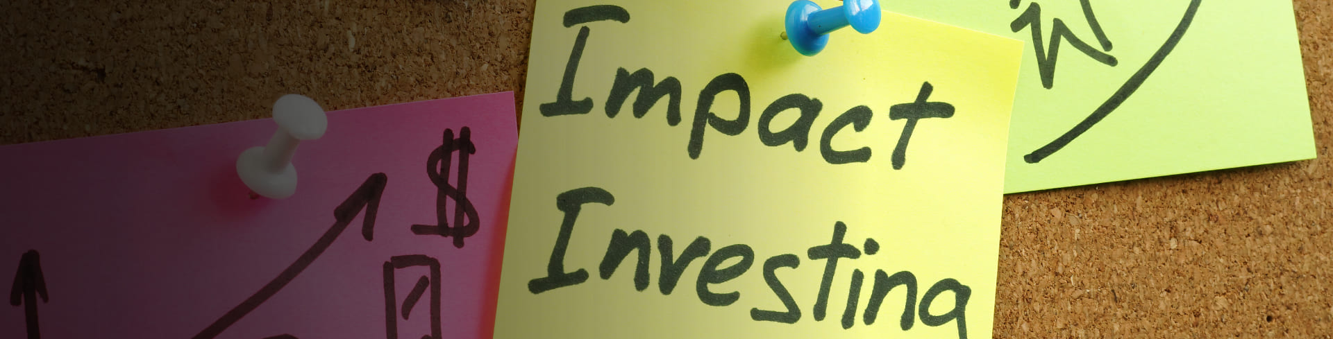 Inversión de Impacto: Contexto Latinoamericano