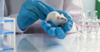 Técnicas de manejo de animales en laboratorios para neurociencia