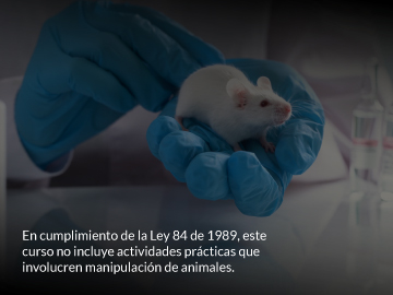 Técnicas de manejo de animales en laboratorios para neurociencia
