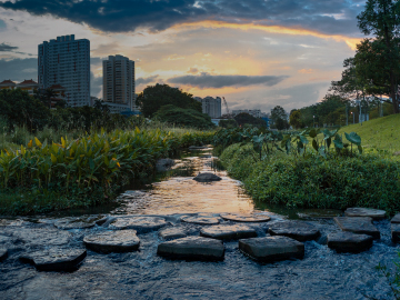 Planificación urbana basada en la naturaleza