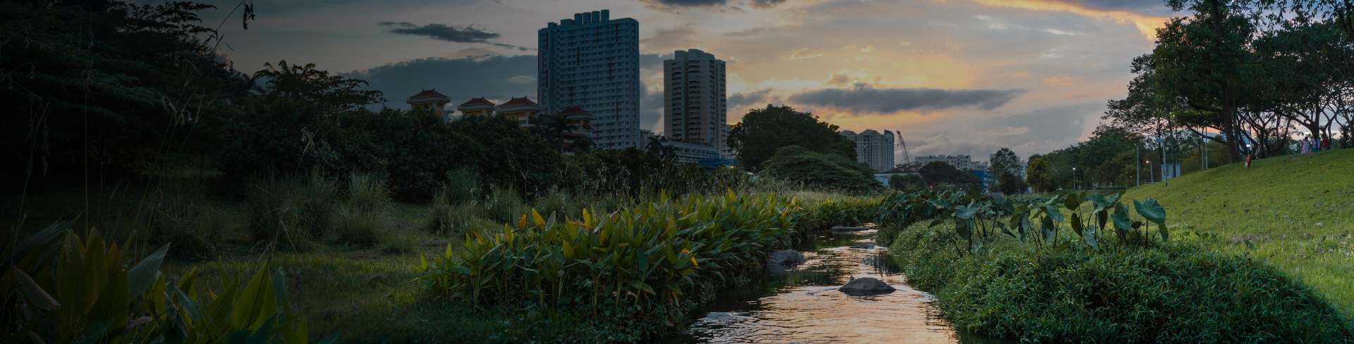 Planificación urbana basada en la naturaleza