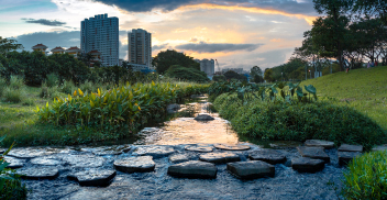 Planificación urbana basada en la naturaleza