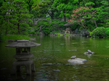 Budismo japonés y pensamiento ambiental