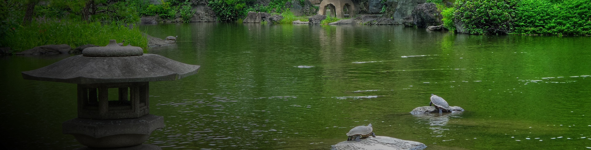 Budismo japonés y pensamiento ambiental