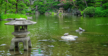 Budismo japonés y pensamiento ambiental